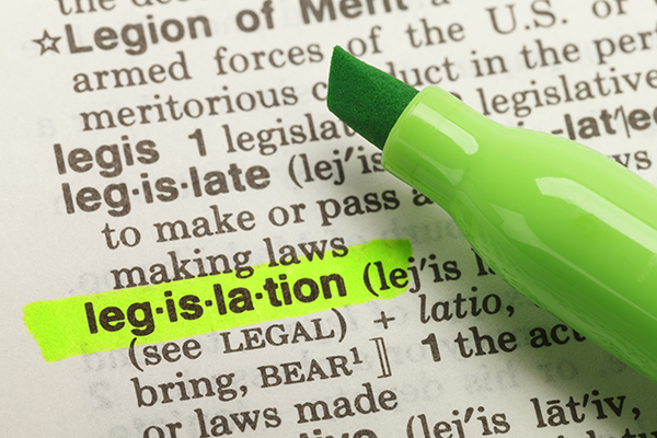 Tougher Legislation for those providing fake documents or false information