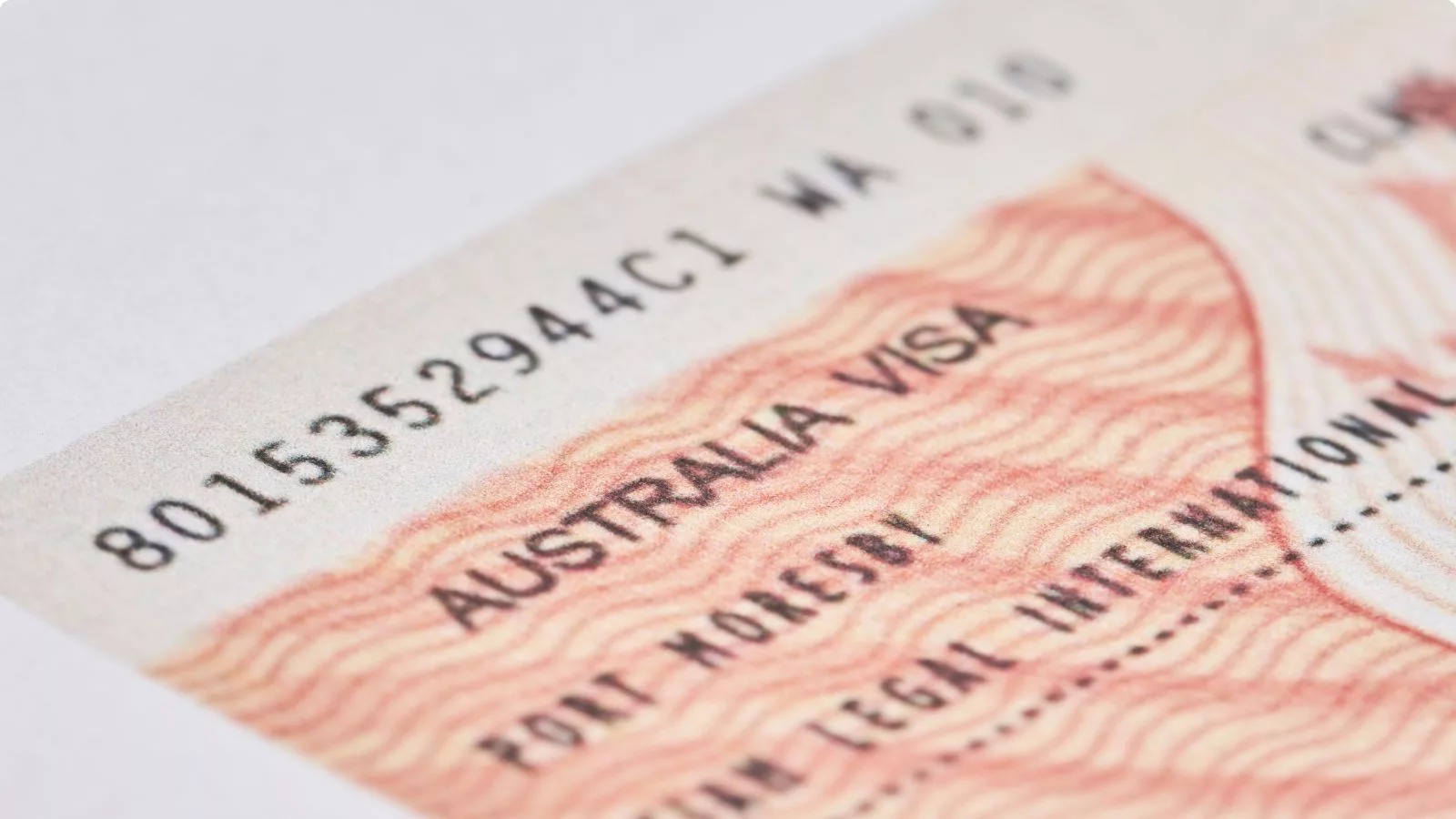 The Closure of the 408 Visa: What You Need to Know and Important Updates 